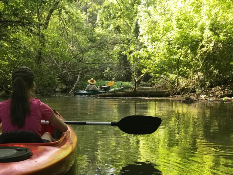 Big Canoe Creek Stay
